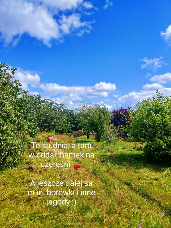 Działka rod Białogard, ul. Bolesława Śmiałego. Zdjęcie 2