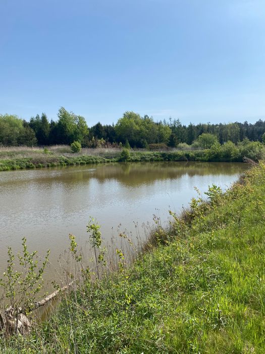 Działka rekreacyjna Leżachów. Zdjęcie 6