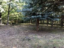 Działka budowlana Katarzynów, ul. Akacjowa. Zdjęcie 4