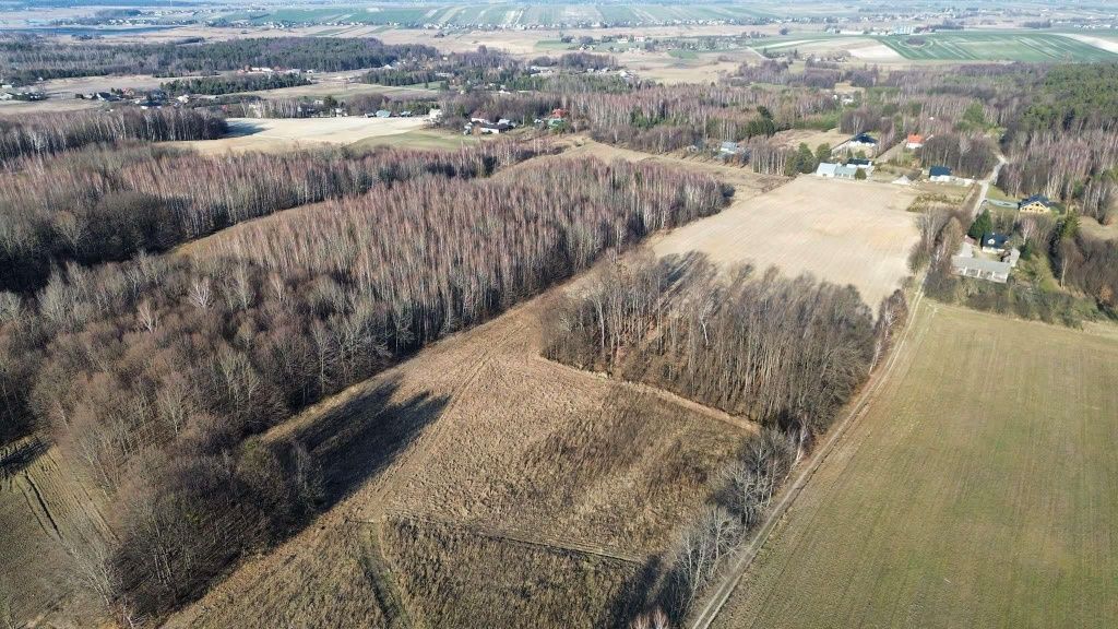 Działka budowlana Lipsko-Polesie. Zdjęcie 8