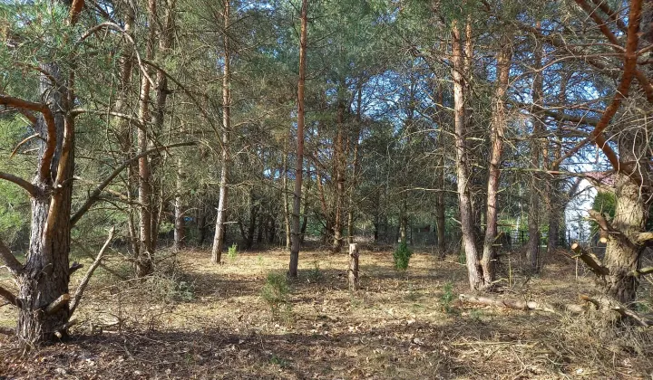 Działka rekreacyjna Dzbądz