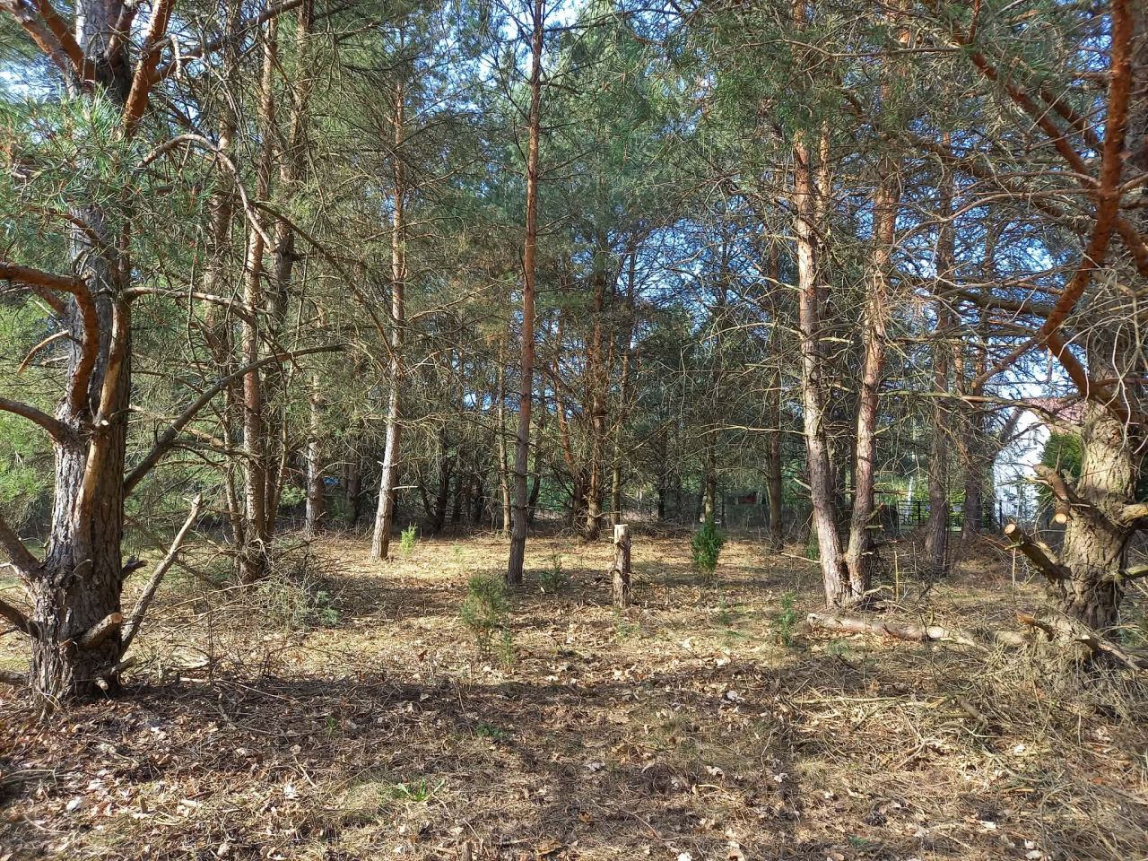 Działka rekreacyjna Dzbądz. Zdjęcie 1