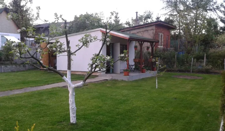 Działka rod Szczecin Gumieńce, ul. Południowa