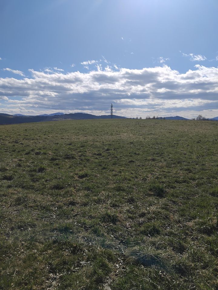 Działka rolna Gilowice Stary Dwór, ul. Działy Dworskie. Zdjęcie 2