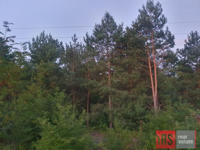 Działka rekreacyjna Wilga, ul. Za Jazem. Zdjęcie 2
