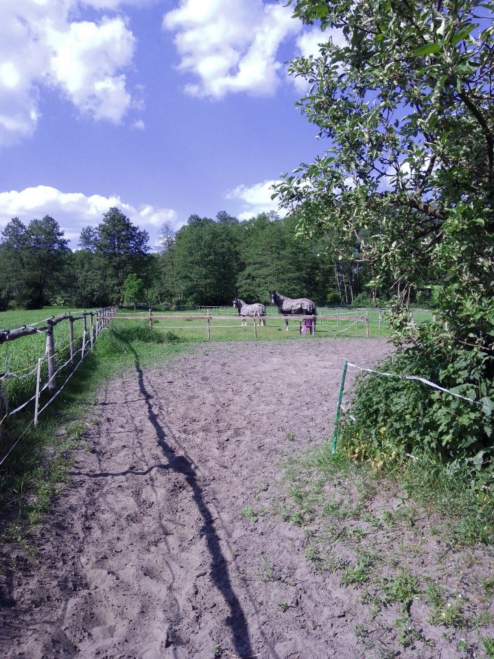 dom wolnostojący, 2 pokoje Myszaków. Zdjęcie 4