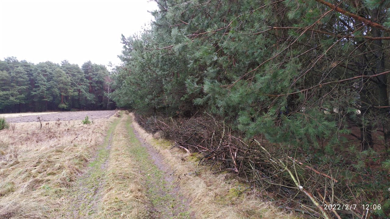 Działka rolna Bocheniec. Zdjęcie 4