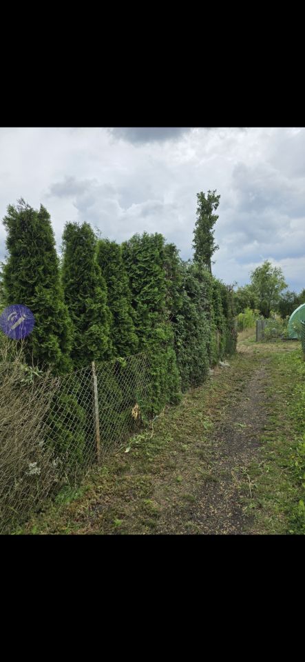 Działka rod Gorzów Wielkopolski Zamoście, ul. Śląska. Zdjęcie 8