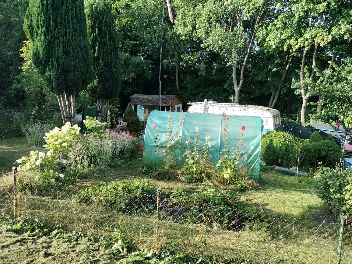 Działka rod Straszyn, ul. inż. A. Hoffmanna. Zdjęcie 6