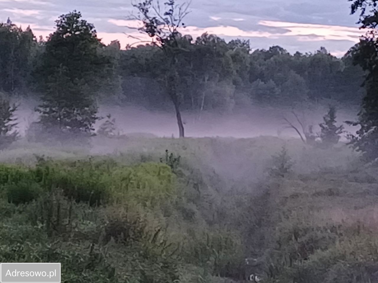 Działka budowlana Lipka. Zdjęcie 9