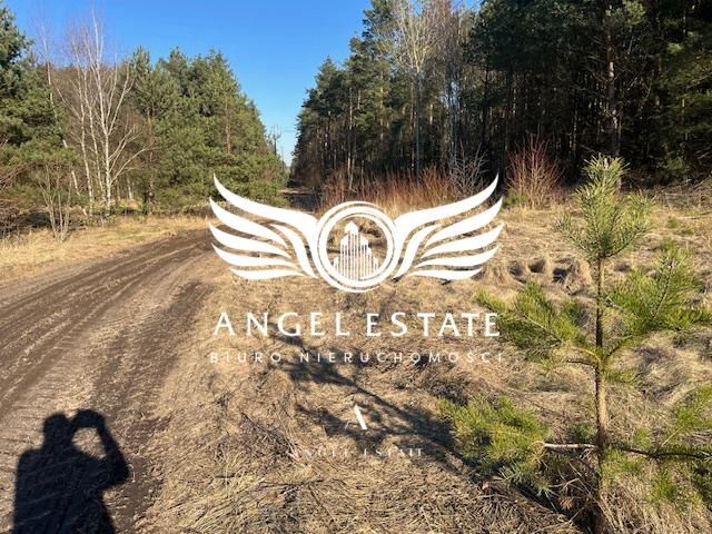 Działka Rakowo. Zdjęcie 5