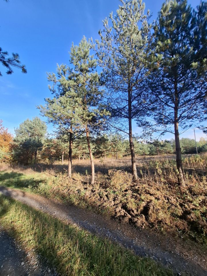 Działka budowlana Wólka Dworska