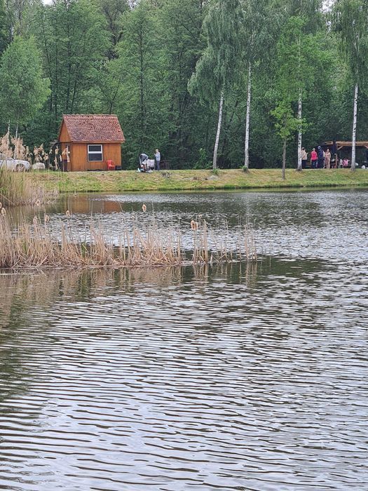 Działka rekreacyjna Zawidów. Zdjęcie 6