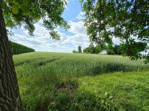 Działka budowlana Kawęczyn. Zdjęcie 3