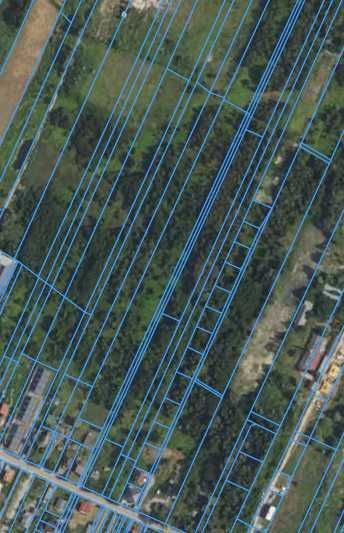 Działka inwestycyjna Ciemne. Zdjęcie 4