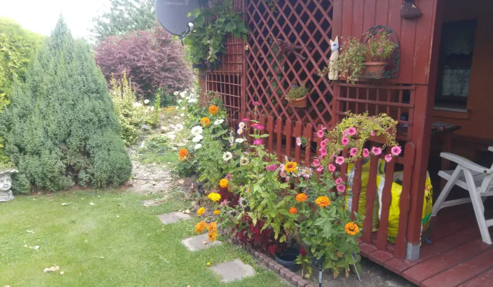 Działka rod Bolesławiec, ul. Augusta Cieszkowskiego