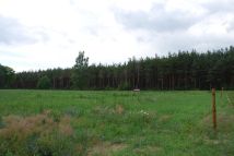 Działka budowlana Dolnik. Zdjęcie 1