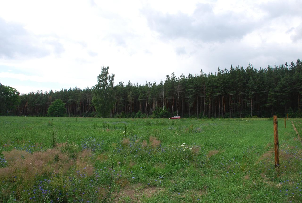 Działka budowlana Dolnik. Zdjęcie 2