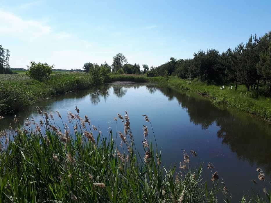 dom wolnostojący Chudzynek. Zdjęcie 5