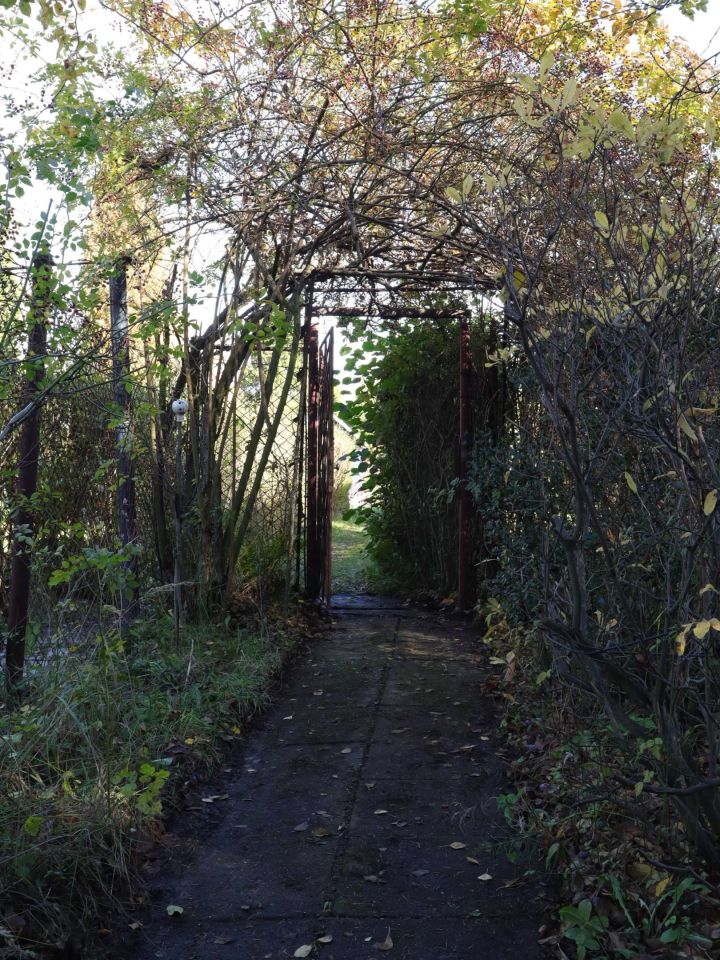 Działka rod Chorzów. Zdjęcie 4