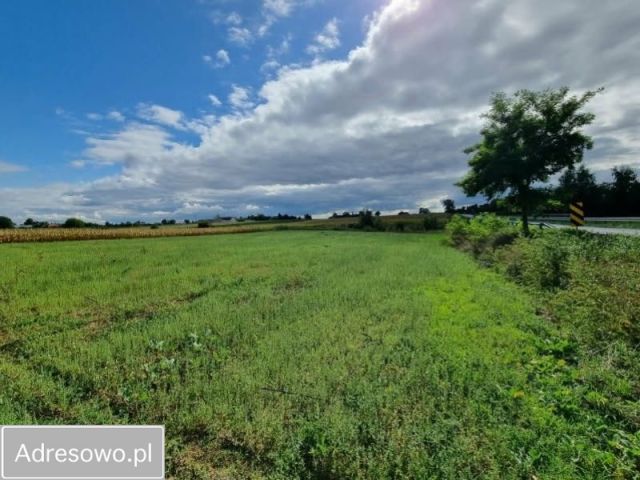 Działka budowlana Rojewo. Zdjęcie 1