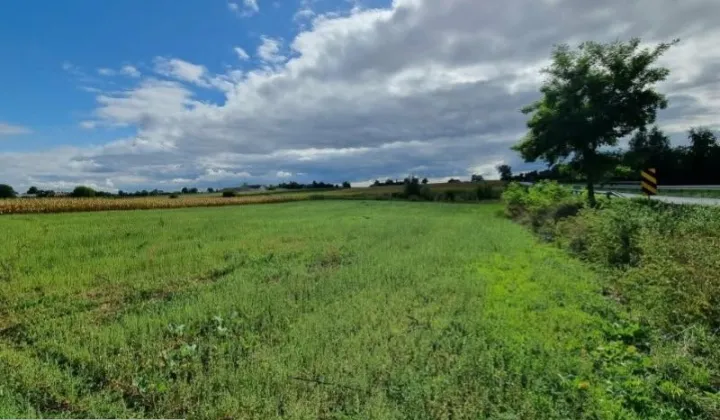 Działka budowlana Rojewo