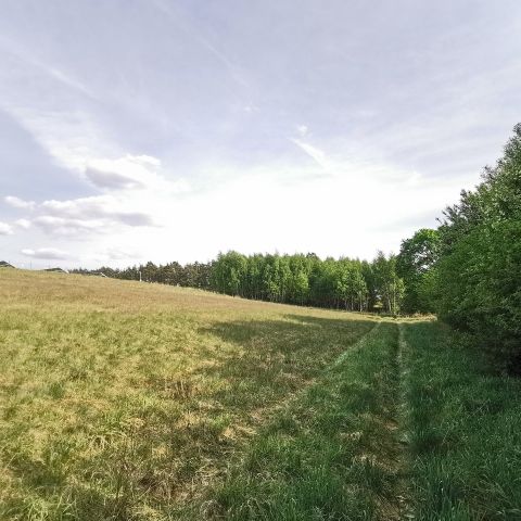 Działka budowlana Dzierzążenko. Zdjęcie 14