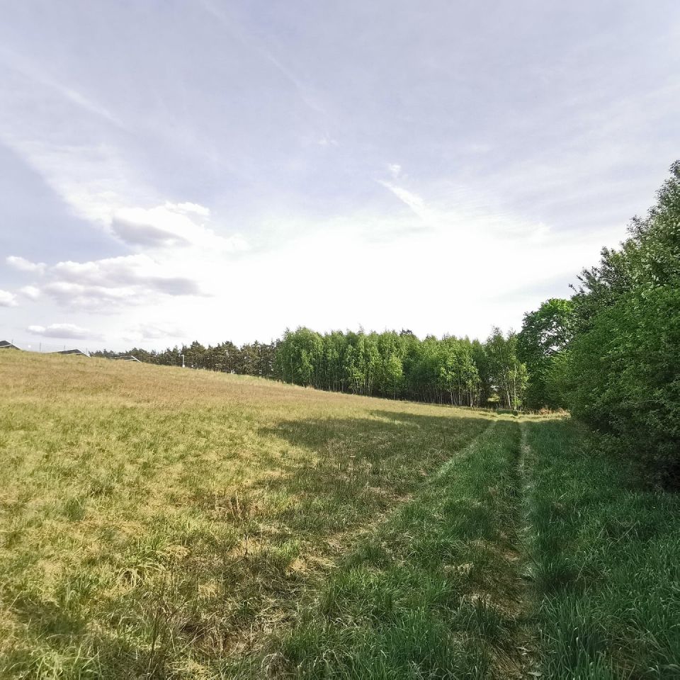 Działka budowlana Dzierzążenko. Zdjęcie 14