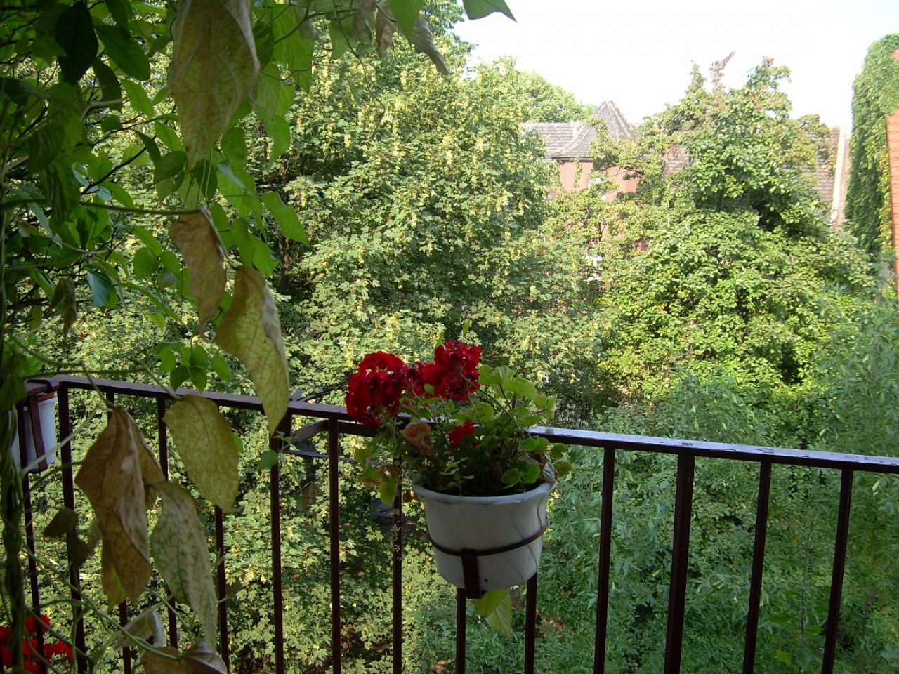 Mieszkanie 5-pokojowe Bytom Śródmieście, ul. Piekarska. Zdjęcie 4