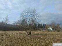 Działka rolna Stawki. Zdjęcie 2