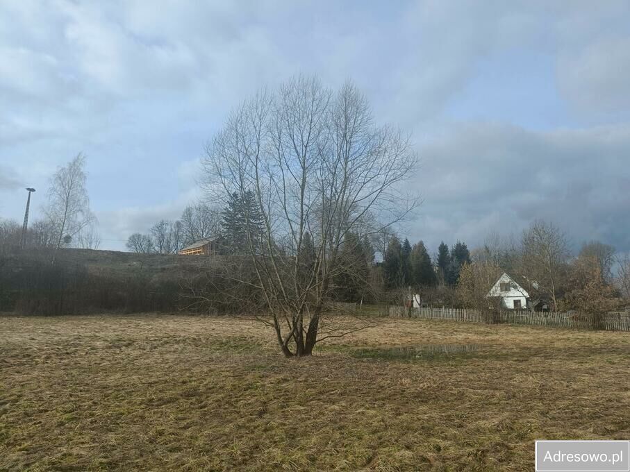 Działka rolna Stawki. Zdjęcie 3