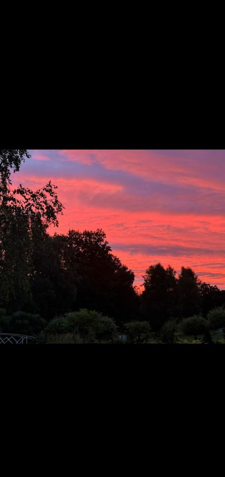 Działka budowlana Sadek, ul. al. Brzozowa. Zdjęcie 7