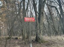 Działka budowlana Potasze, ul. Sosnowa. Zdjęcie 2