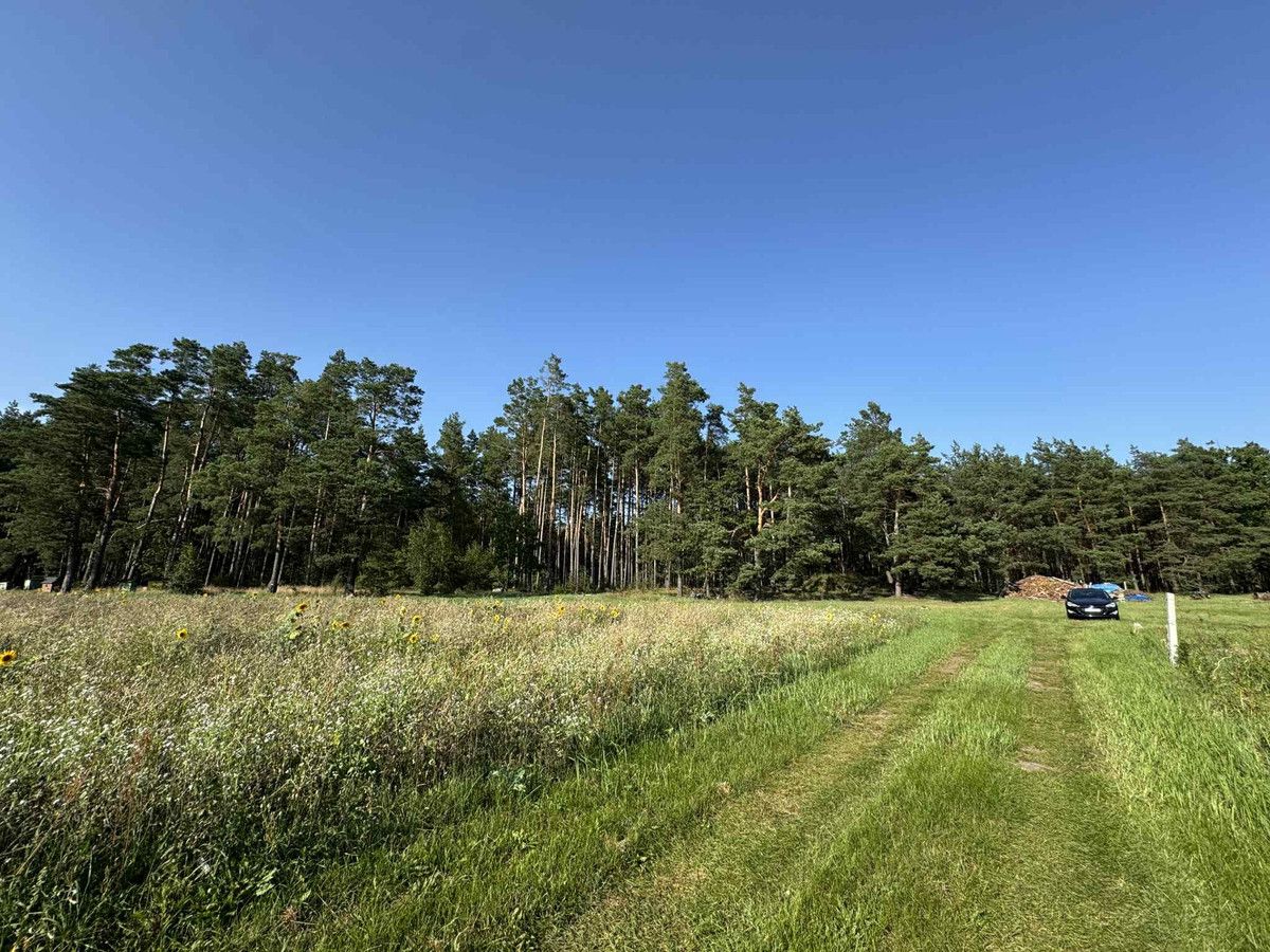 Działka rekreacyjna Golanka. Zdjęcie 11