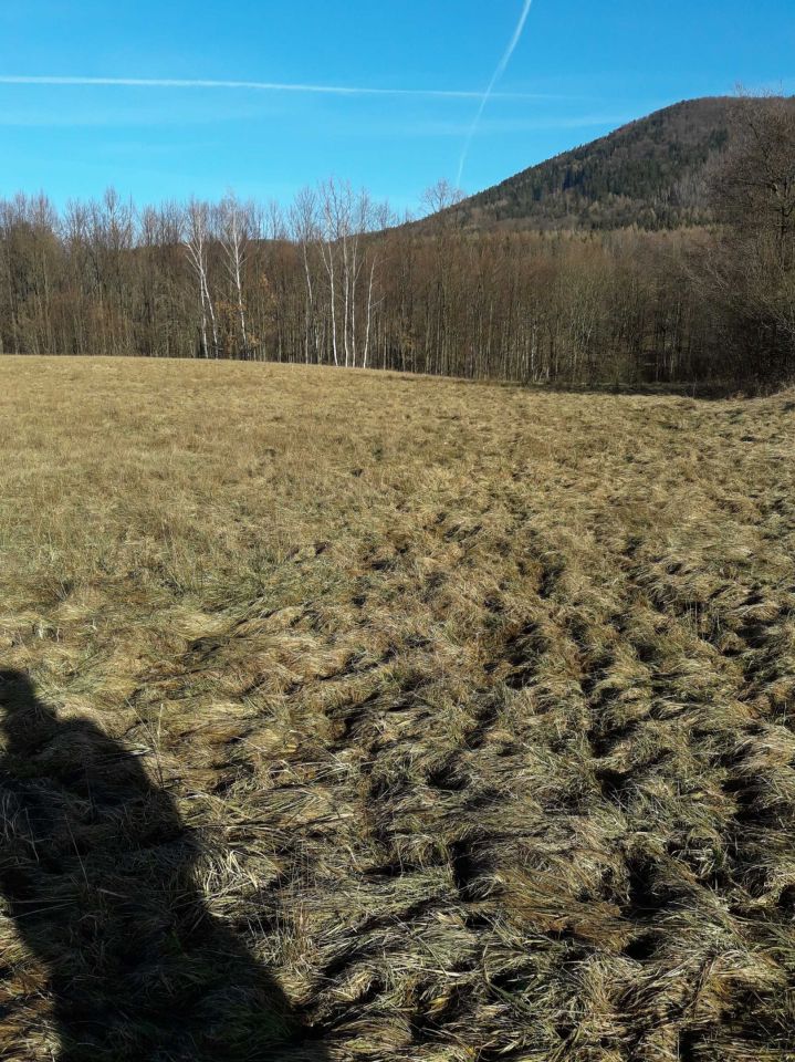 Działka rolna Wilkanów. Zdjęcie 2