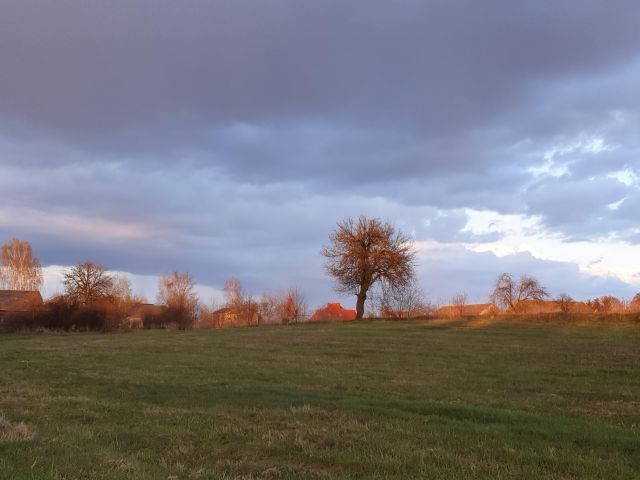 Działka siedliskowa Wola Władysławowska. Zdjęcie 2