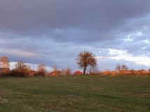 Działka siedliskowa Wola Władysławowska. Zdjęcie 1