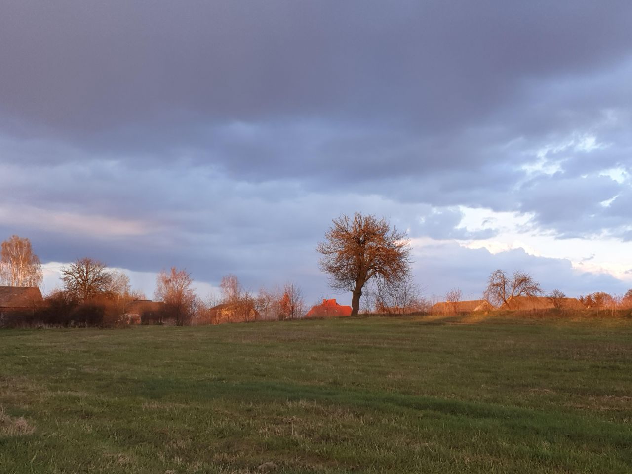 Działka siedliskowa Wola Władysławowska. Zdjęcie 2