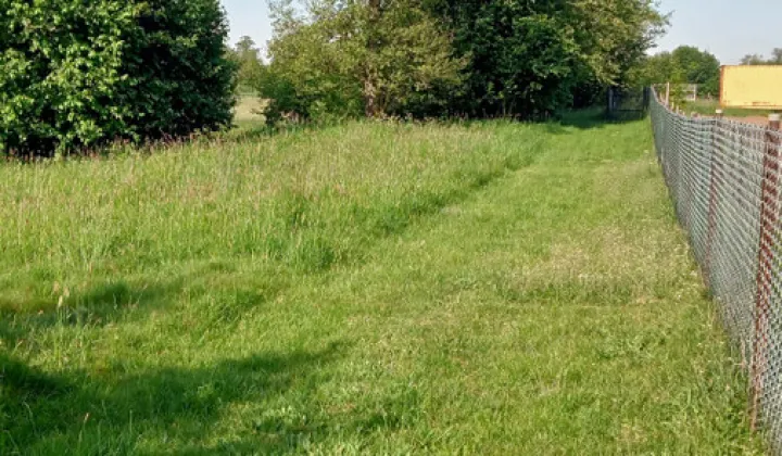 Działka rolna Skęczniew