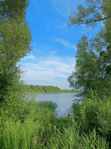 dom wolnostojący, 3 pokoje Zielonka. Zdjęcie 11