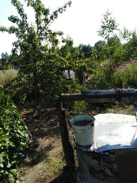 dom, 2 pokoje Szachy. Zdjęcie 4