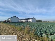 Działka rolna Ołtarzew, ul. Duchnicka. Zdjęcie 1