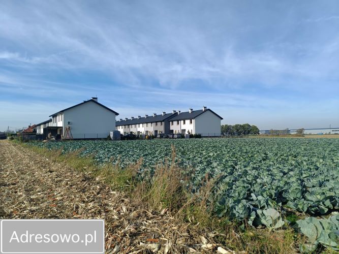 Działka rolna Ołtarzew, ul. Duchnicka. Zdjęcie 2