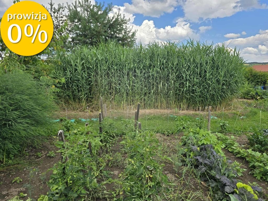 dom wolnostojący Krasice. Zdjęcie 5