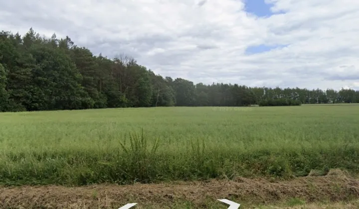 Działka rolna Dąbrowa