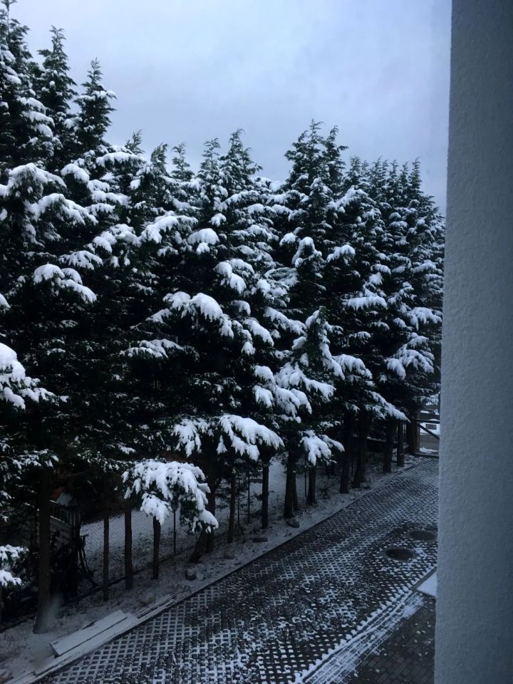 dom wolnostojący, 5 pokoi Rumia Zagórze, ul. Żwirowa. Zdjęcie 5