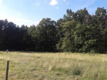 Działka budowlana Brynek, ul. Orzechowa . Zdjęcie 3