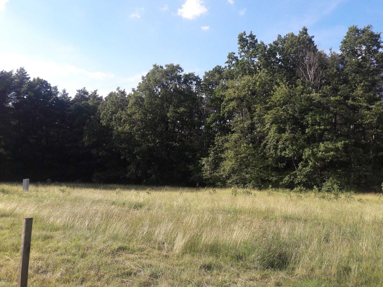 Działka budowlana Brynek, ul. Orzechowa . Zdjęcie 4