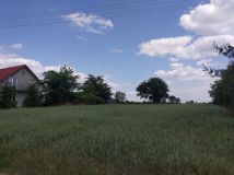 Działka rolna Zezulin Niższy. Zdjęcie 3