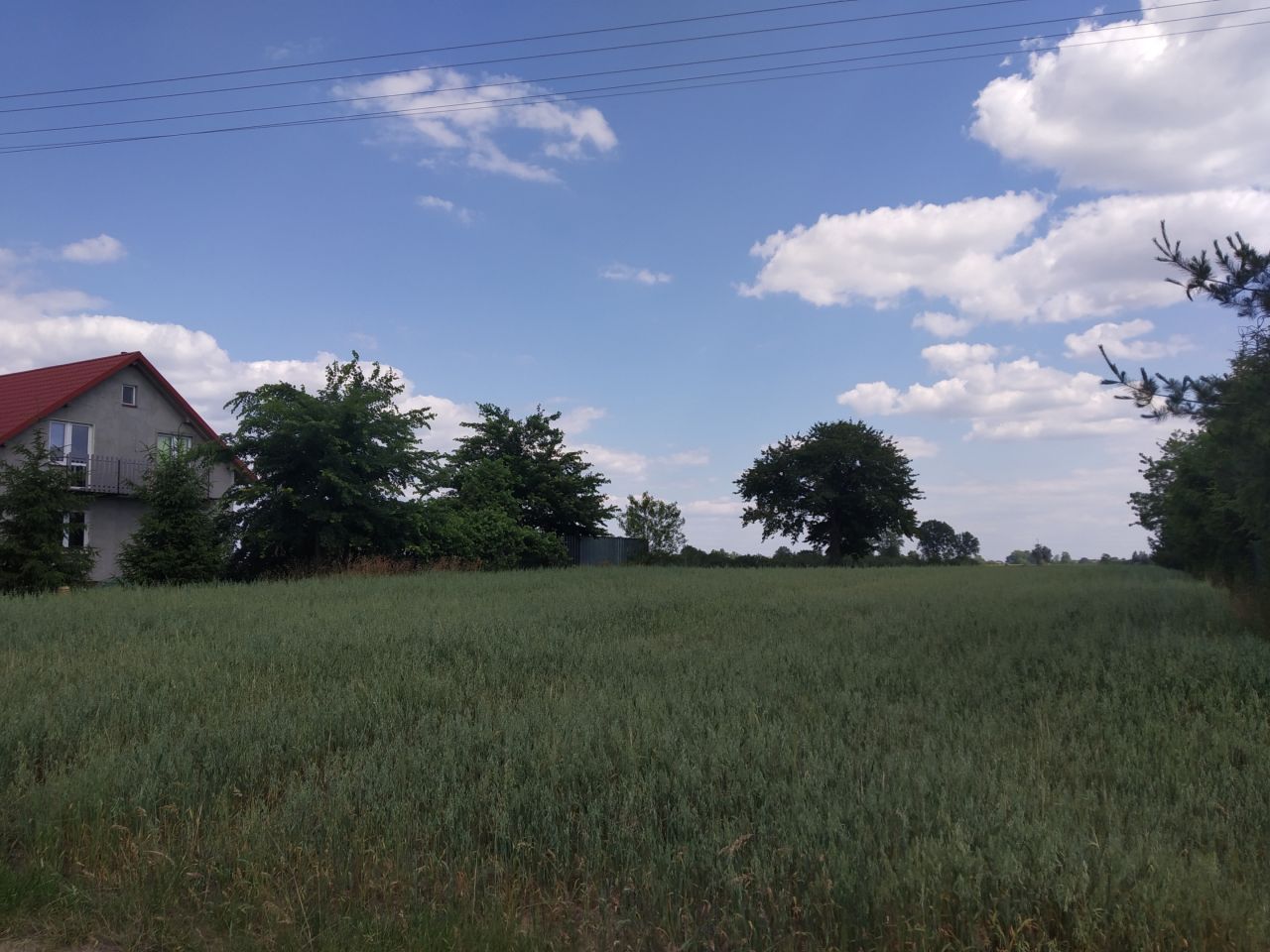 Działka rolna Zezulin Niższy. Zdjęcie 4